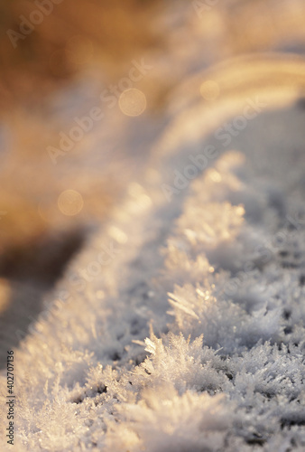 frost on the plant, macro winter © Julia Nazarova