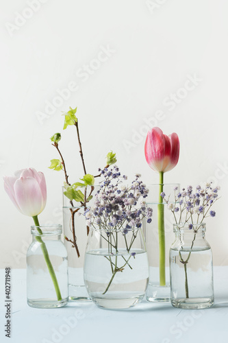 Pink tulip and fresh birch branches distorted through liquid water in glasses on white background. Vertical Spring composition.