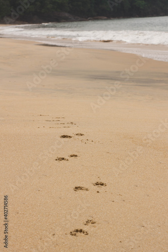 Areia de Praia e pegadas
