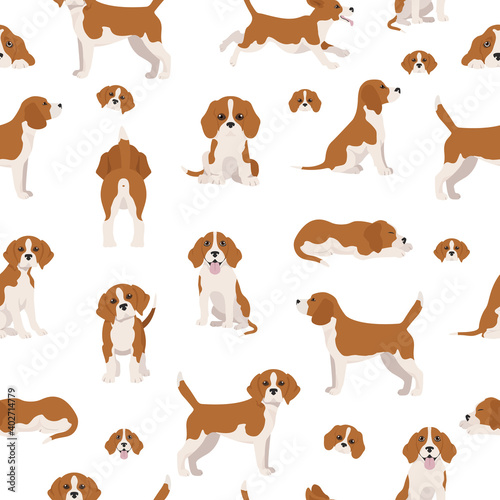 Beagle seamless pattern. Different poses  Beagle puppy