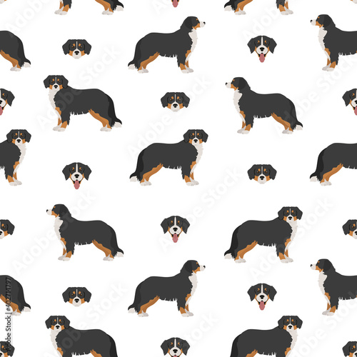 Bernese mountain dog seamless, pattern. Different poses, Bernese sennenhund puppy