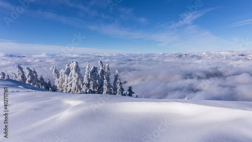 Winter © Photofex