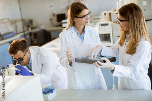 Canvastavla Group of young researchers analyzing mineral chemical data in the laboratory