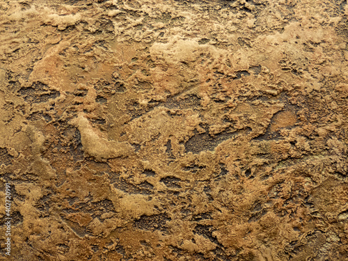 Stone texture background brown.