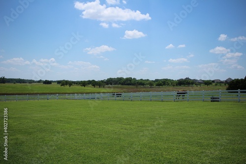 Green Pasture With White Picket Fence and Cows in the Country With Blue Sky