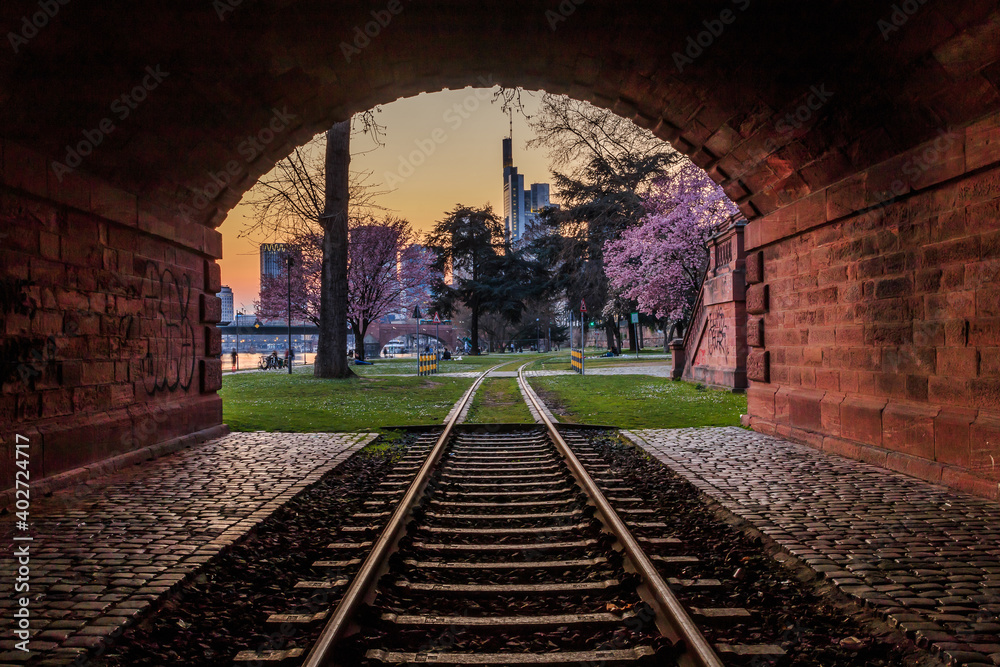 Historic railroad track with tunnel on the bank of the river Main in Frankfurt in the evening. Park with trees with blossoms and meadow. City skyline from the financial district in the background