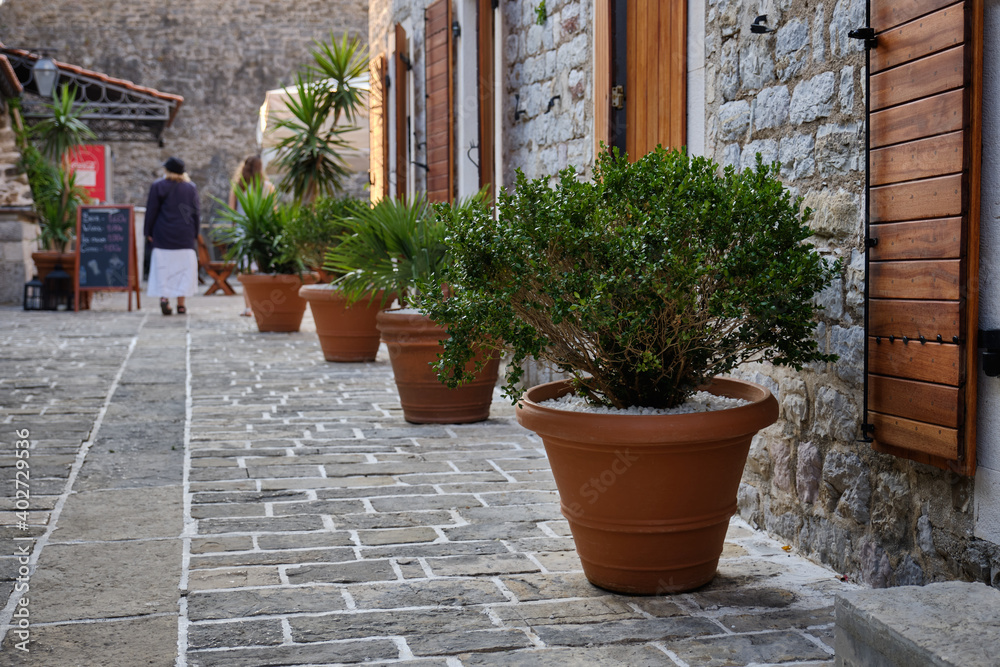 Naklejka premium Flower pots in the citadel