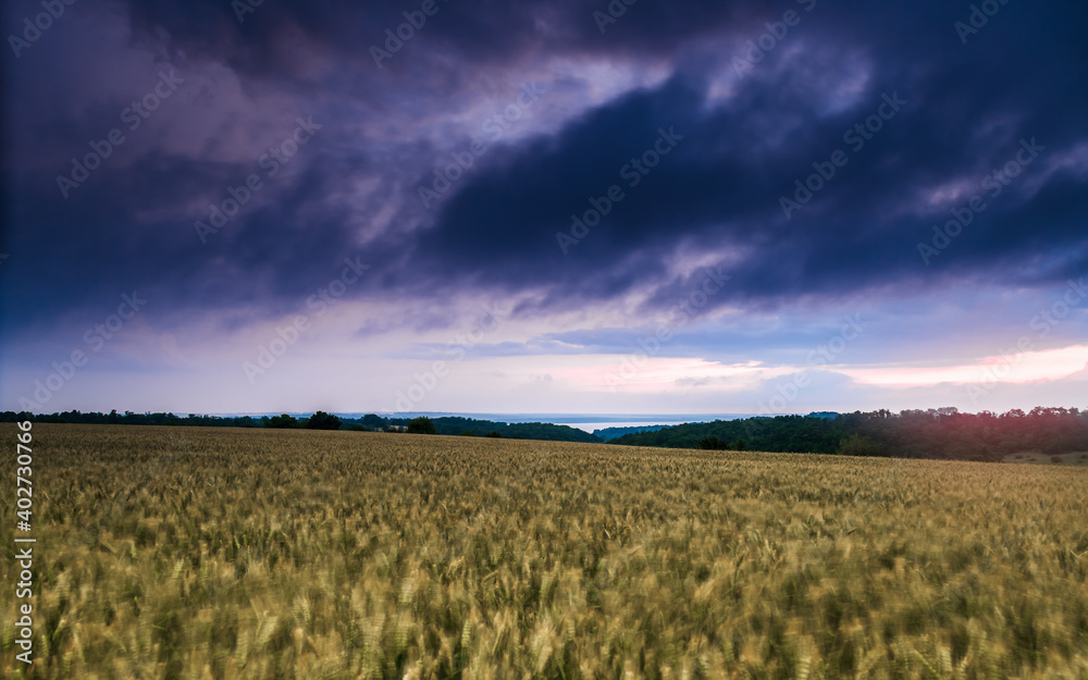 stormy sky, wheat field in the foreground, river in the background stormy sky, wheat field in the foreground, river in the background