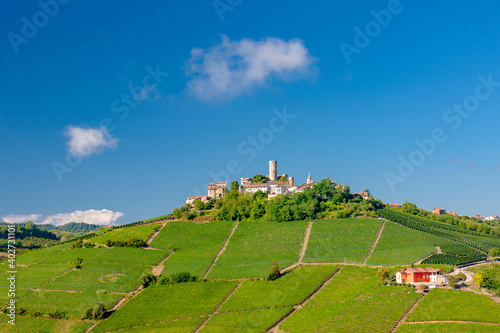 Castle and village Castiglione Falletto, Piemonte, Italy photo