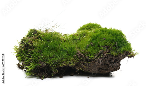 Green moss and dirt isolated on white background