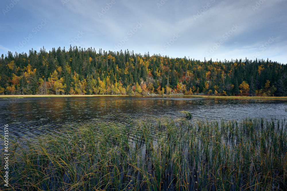 lake in the woods at autumn