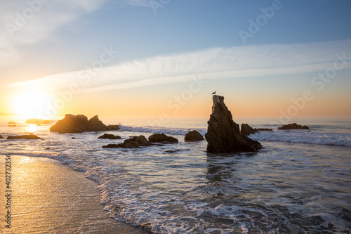 Bird perched on rock at sunrise on a Malibu beach in California