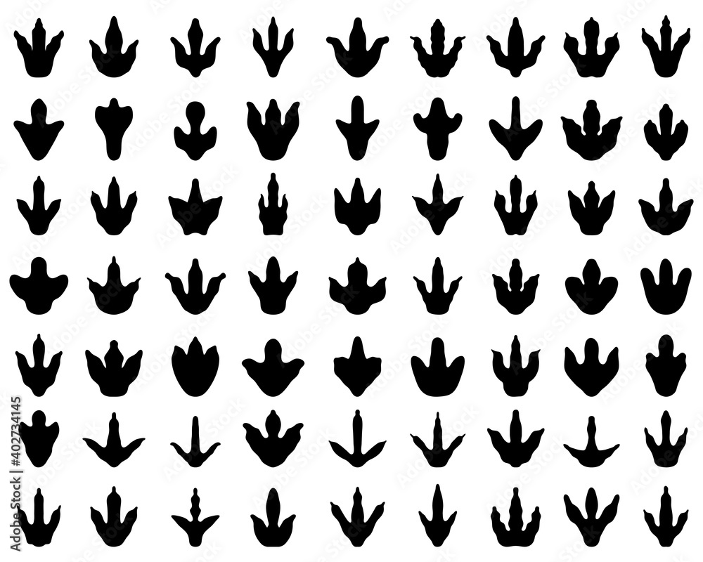 Black footprints of dinosaurs on white background Black footprints of dinosaurs on white background
