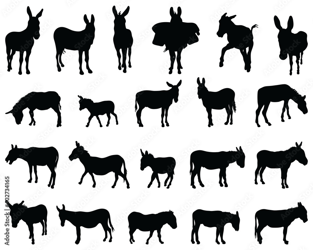 Black silhouettes of donkeys on white background