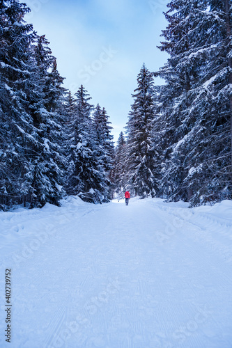 man running in a winter forest