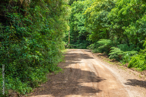 Dirty road and forest in Morro do Xaxim mountain
