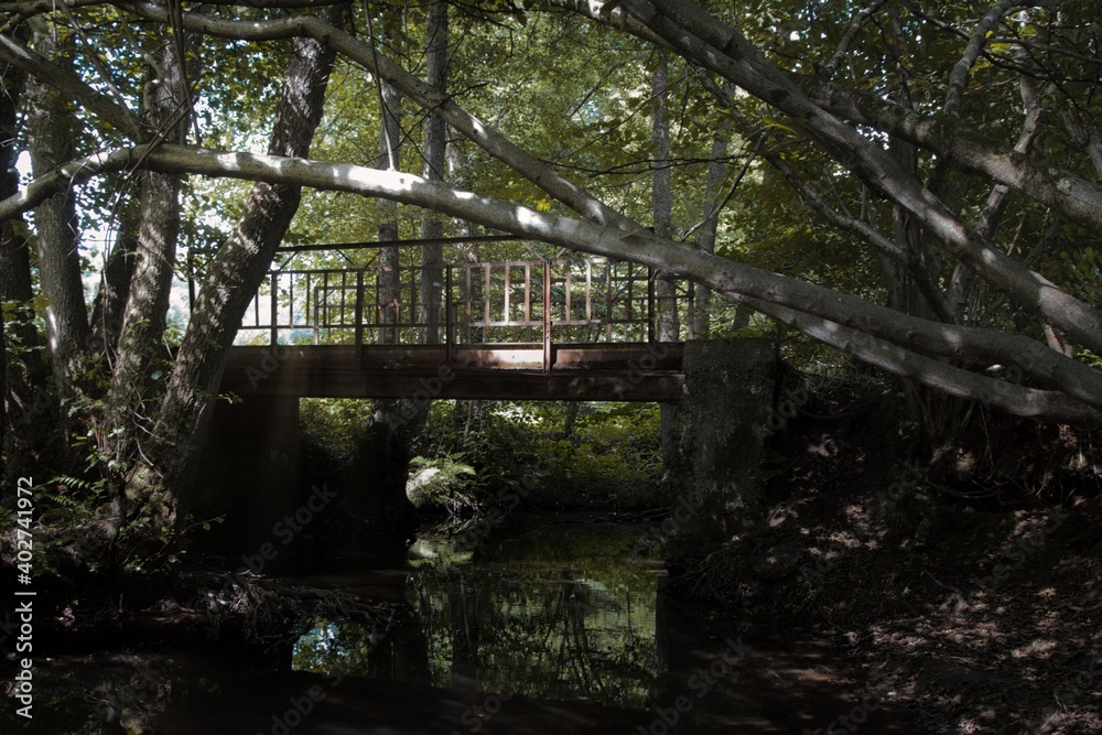 Brücke über Bach in Wald