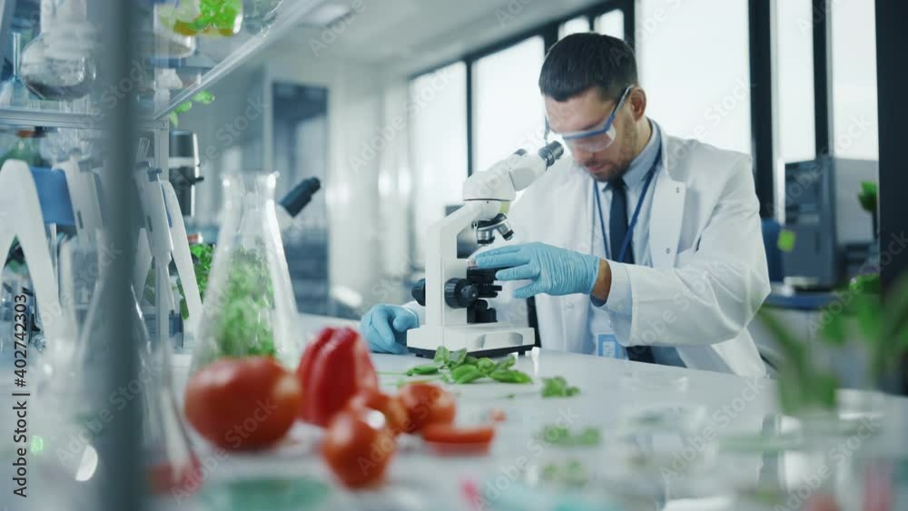 Male Microbiologist Looking at a LabGrown Cultured Vegan Meat Sample