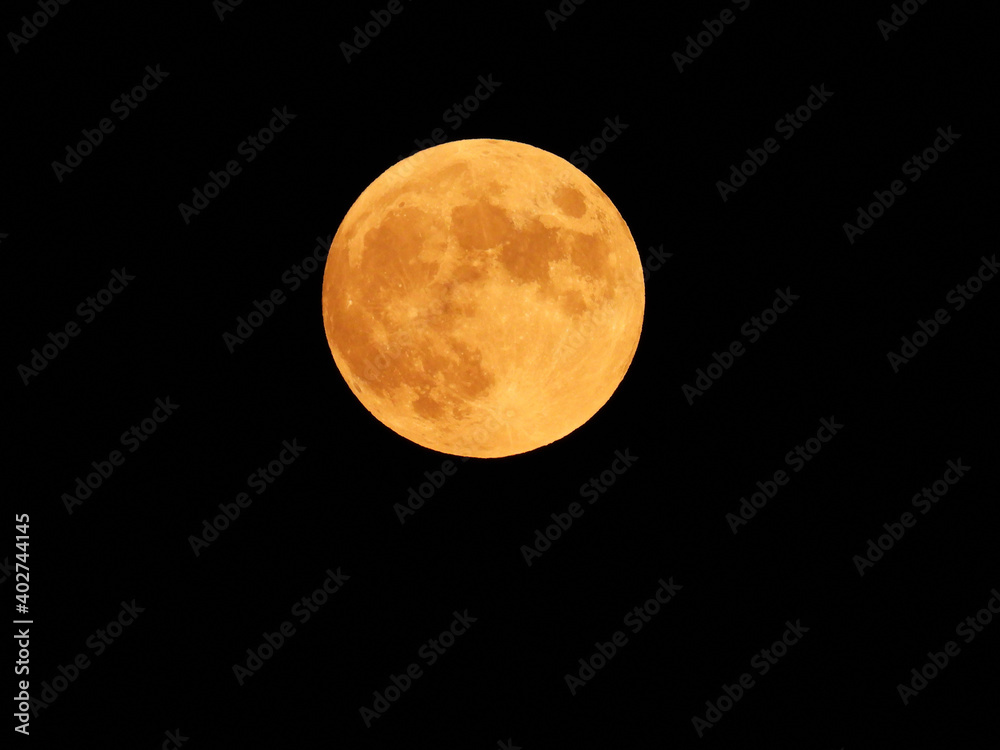 Obraz premium Full Hunter's Moon