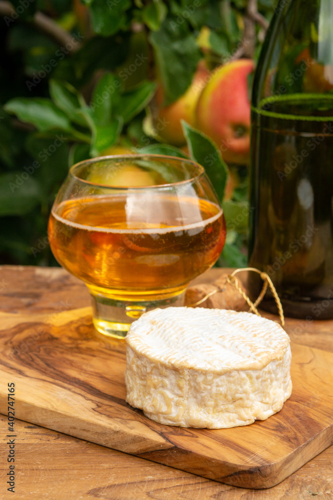 Taste of Normandy, France, glass of apple cider and camembert cheese and green apple tree with ripe red fruits on background Taste of Normandy, France, glass of apple cider and camembert cheese and green apple tree with ripe red fruits on background