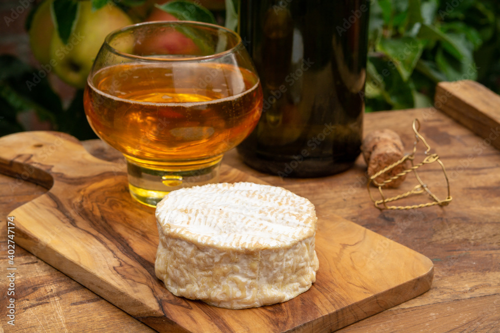 Taste of Normandy, France, glass of apple cider and camembert cheese and green apple tree with ripe red fruits on background Taste of Normandy, France, glass of apple cider and camembert cheese and green apple tree with ripe red fruits on background