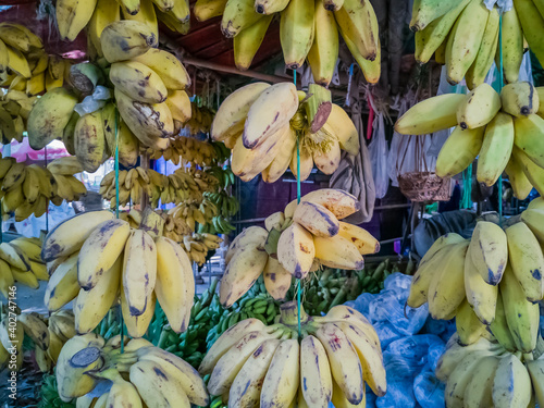 Fresh vegetables in the market