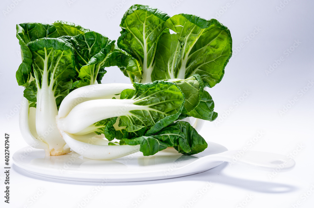 Young white bok choy or bak choi Chinese cabbage Young white bok choy or bak choi Chinese cabbage