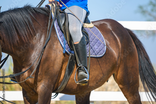 The rider sits on a horse  a view of the saddle and stirrup