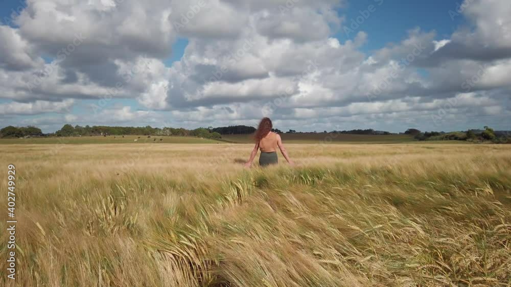 Girl walking through a wheat field Girl walking through a wheat field