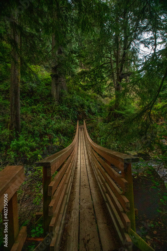 Wooden foot bridge over stream in Oregon wooded coastal forest