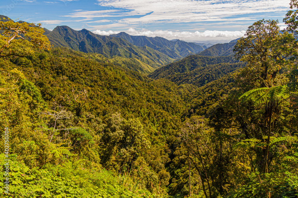 Fototapeta premium Forest covered mountains near Banaue, Philippines