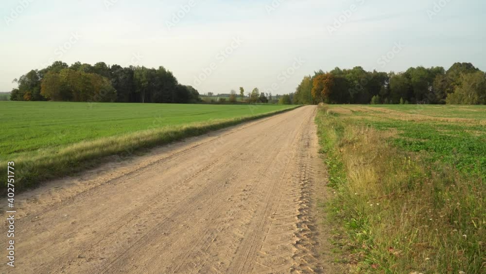 The countryside gravel road between agricultural land plantations in the autumn landscape. Beautiful plain with tree groves and farmland fields in Latvia, Zemgale region. Sunny day in the fall season. The countryside gravel road between agricultural land plantations in the autumn landscape. Beautiful plain with tree groves and farmland fields in Latvia, Zemgale region. Sunny day in the fall season.
