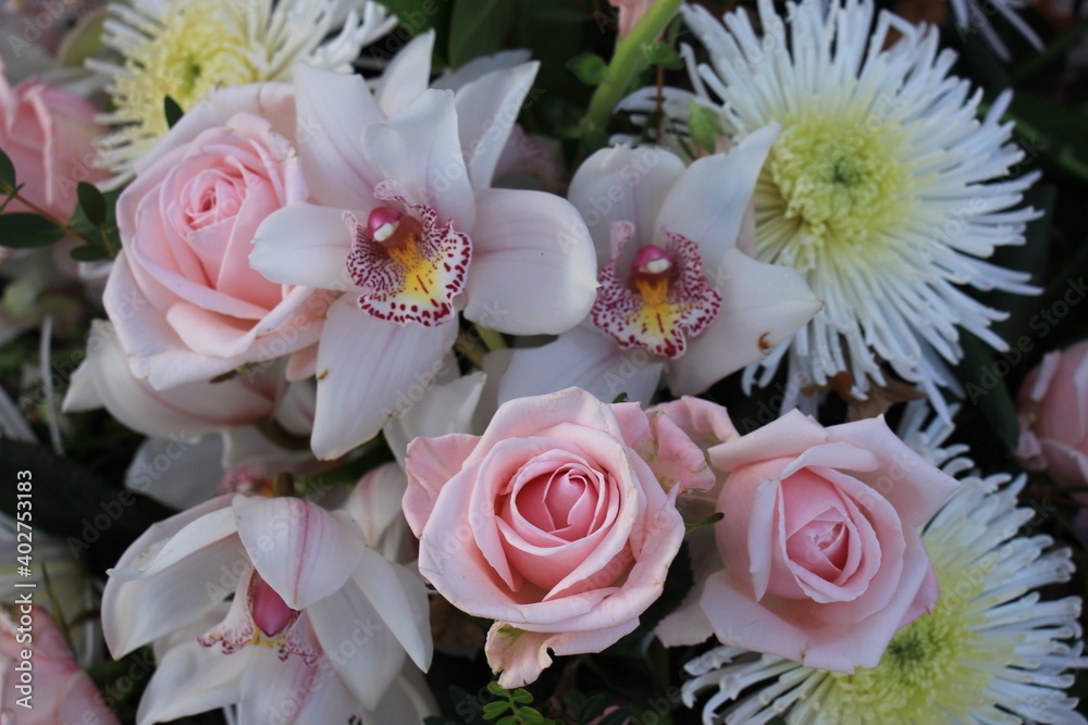 Pink roses and Cymbidium orchids