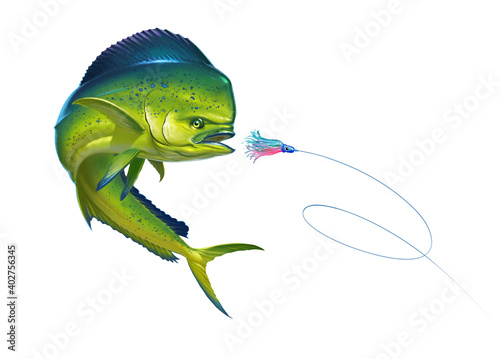 Mahi mahi or dolphin fish on white Bait Sea Octopus Skirt. Realistic illustration of mahi-mahi or dolphin fish on white background isolate. photo