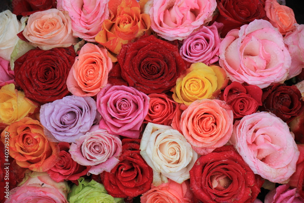 Naklejka premium Mixed wedding roses