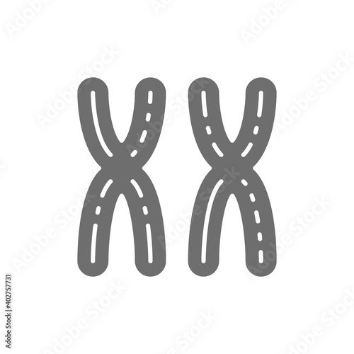 Female XX chromosomes, woman sex, genes grey icon.