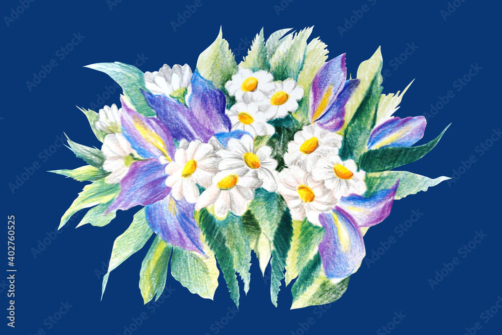 Obraz premium Summer meadow iris and daisy flowers on blue background isolated