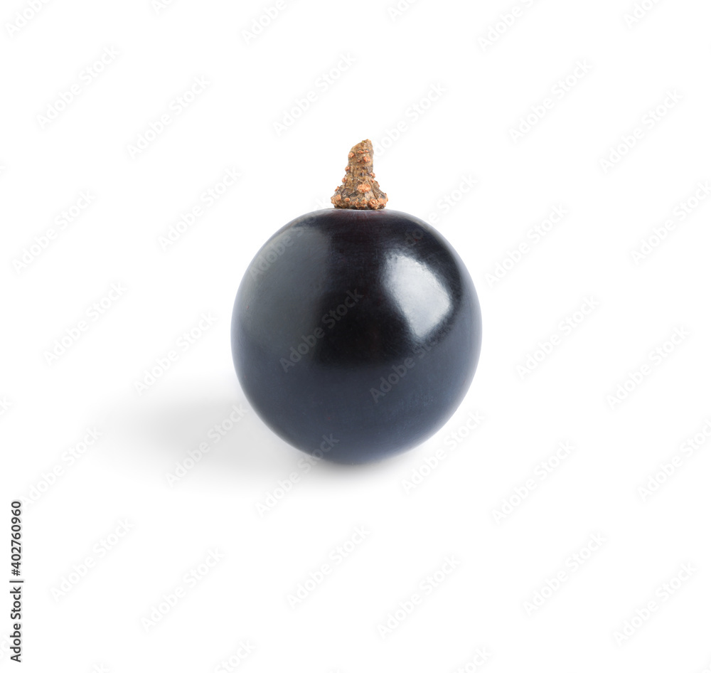 Delicious ripe dark blue grape isolated on white Delicious ripe dark blue grape isolated on white