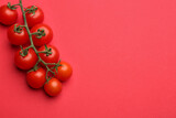 Branch with fresh cherry tomatoes on red background, top view. Space for text