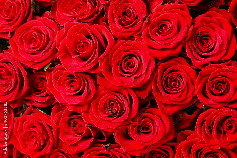 Luxury bouquet of fresh red roses as background, closeup Luxury bouquet of fresh red roses as background, closeup
