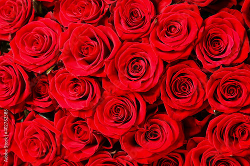 Luxury bouquet of fresh red roses as background  closeup