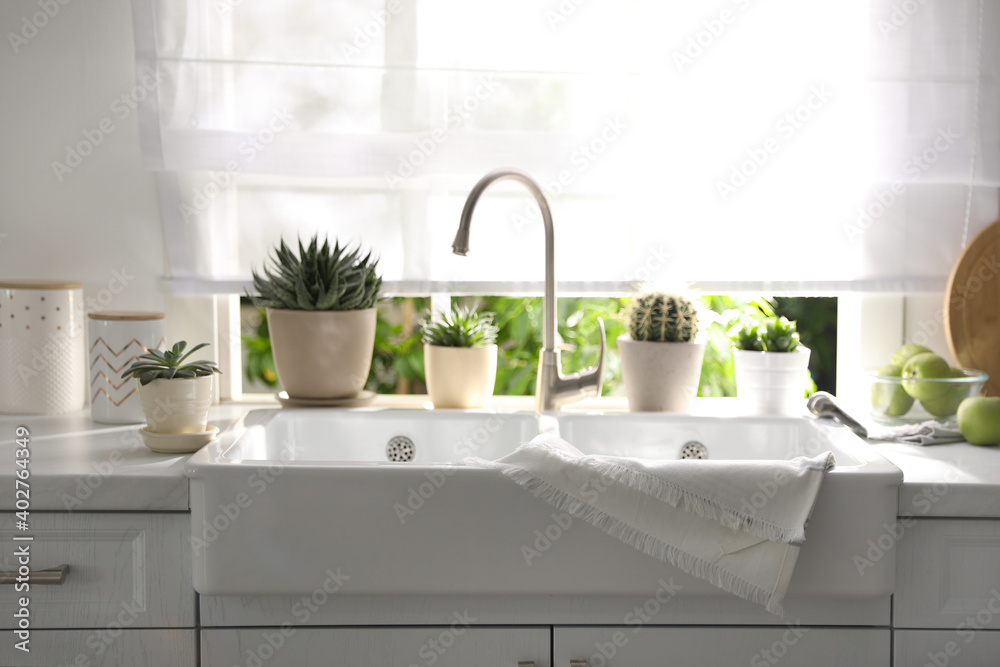 Fototapeta premium Beautiful potted plants on countertop near window in kitchen