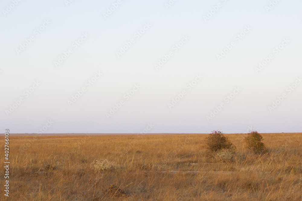 Autumn landscape steppe. prairie, veld, veldt. a large open area of grassland, open, uncultivated country or grassland Autumn landscape steppe. prairie, veld, veldt. a large open area of grassland, open, uncultivated country or grassland