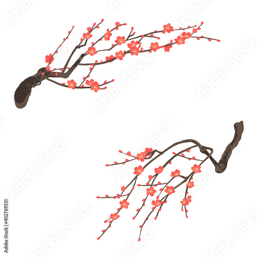 紅梅 梅の花のベクターイラスト