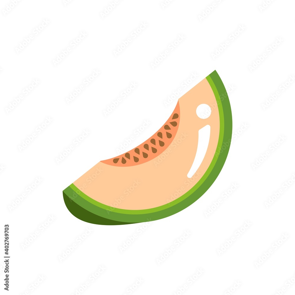 Fototapeta premium melon vector