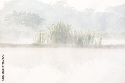 View of  pond with  fog  in the morning  countryside Chiangmai province  Thailand
