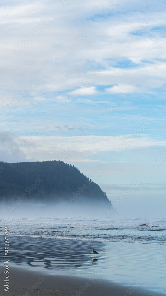 Coastline fog