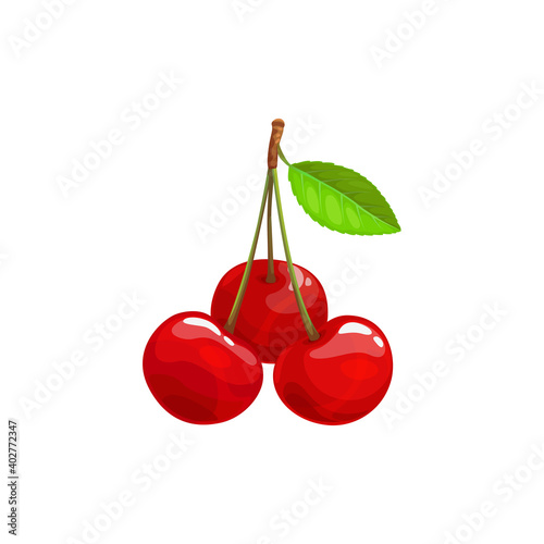 Cherry berries fruits, food from farm garden and wild forest, vector flat isolated icon. Cherries bunch organic harvest for jam dessert or juice drinks