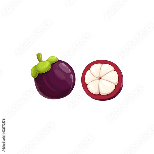 Mangosteen fruit, tropical exotic food, vector isolated icon. Mangosteen fruits whole and half cut with lobules, exotic fruits dessert and Asian tropic farm garden ripe harvest