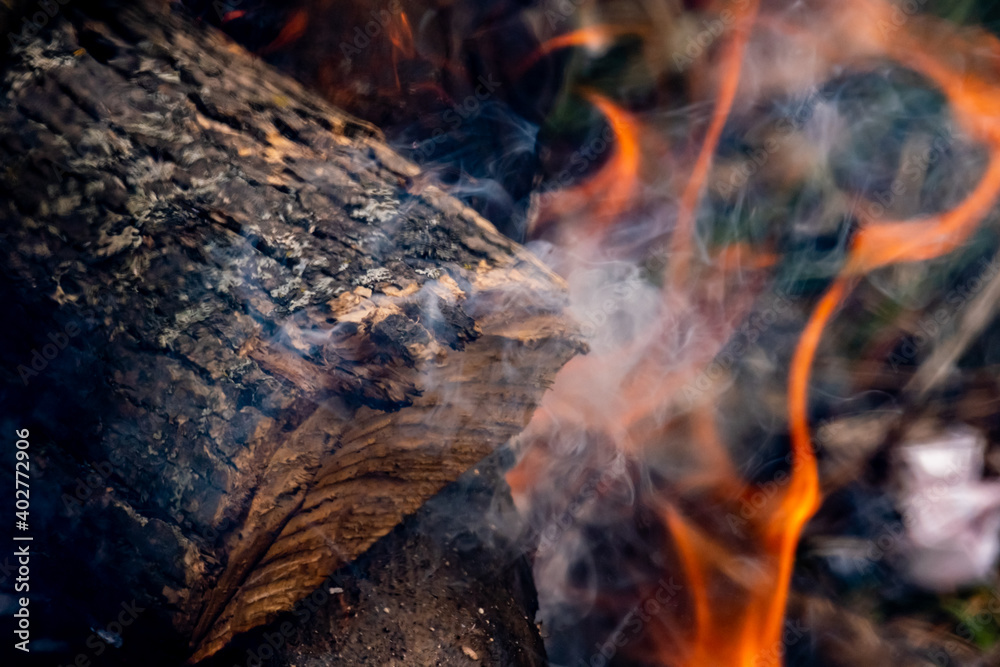 Smoke and burning wood close-up in outdoor campfire Smoke and burning wood close-up in outdoor campfire